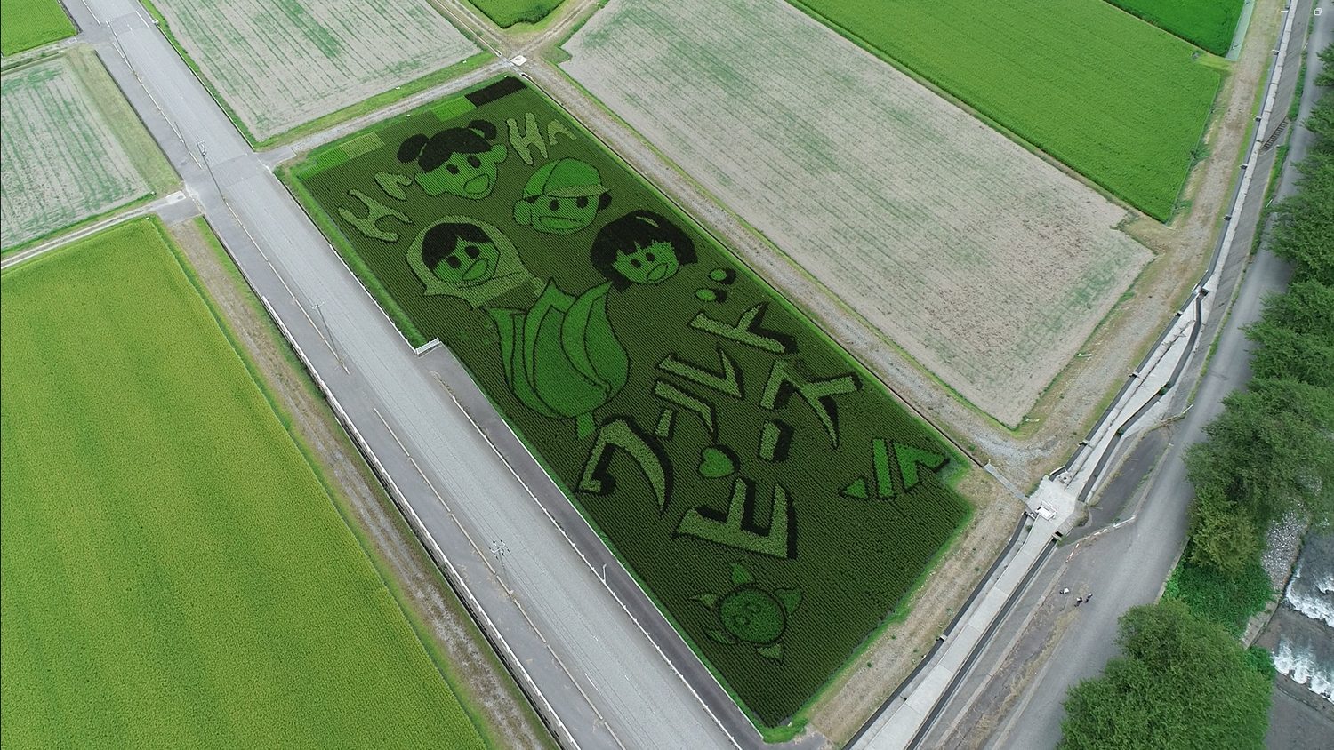 チュリストやまざき様 田んぼアート